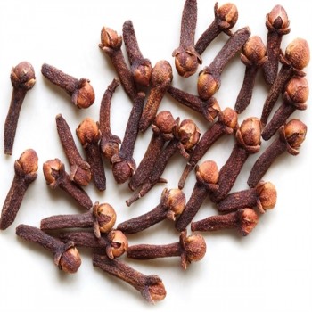 Clove (Syzygium Aromaticum L.)